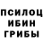 Галлюциногенные грибы мицелий Raj Patel