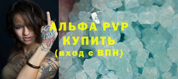 сатива Корсаков