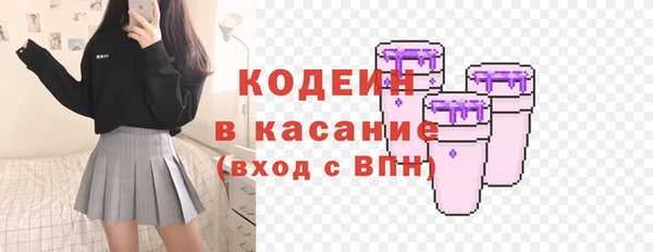 сатива Корсаков