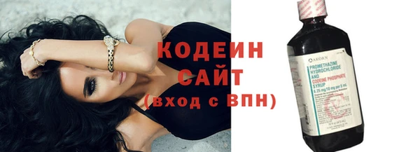 сатива Корсаков