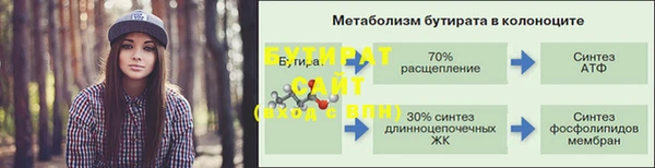 сатива Корсаков