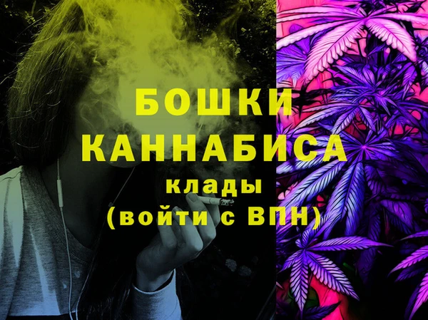 сатива Корсаков