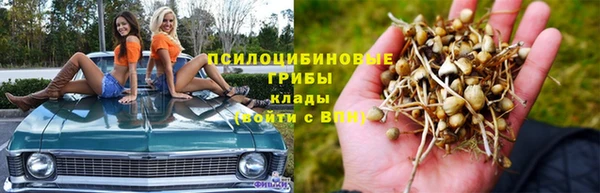 эйфоретик Инта