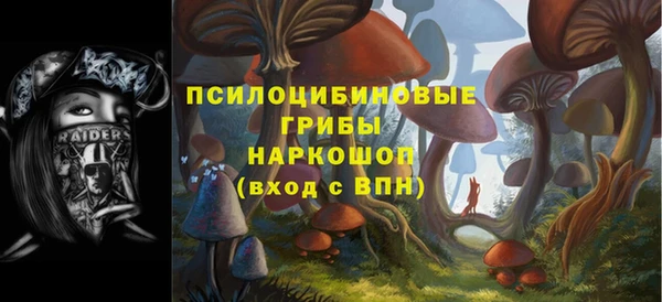 тгк Коряжма