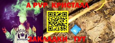 амф Дубна