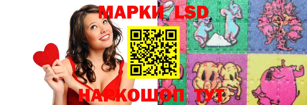 Элиста  ЛСД экстази  Вход с VPN  Лсд 25 экстази ecstasy  ЛСД экстази ecstasy 