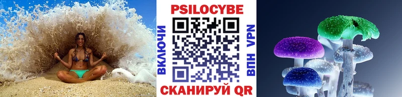 Псилоцибиновые грибы прущие грибы omg онион Элиста мориарти официальный сайт купить закладку