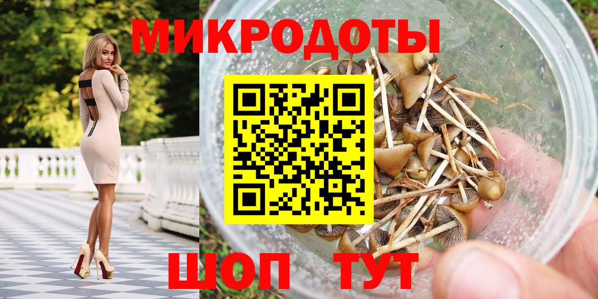 Галлюциногенные грибы мухоморы Элиста
