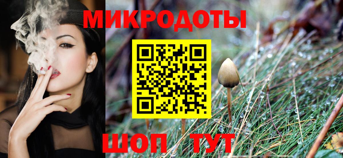Псилоцибиновые грибы Cubensis  Галлюциногенные грибы Psilocybe  Вход с VPN  Элиста 