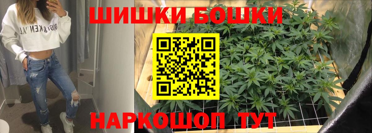 Бошки Шишки гибрид Элиста