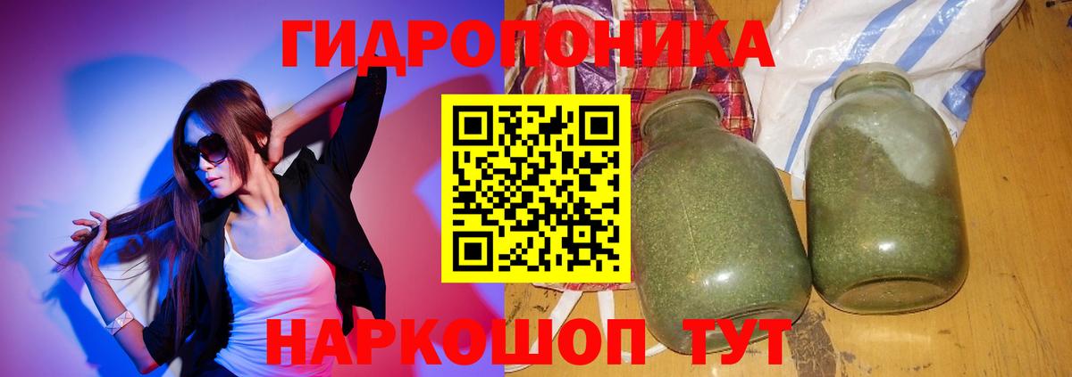 Канабис OG Kush  Конопля ГИДРОПОН  Элиста  Вход с VPN  Конопля VHQ 